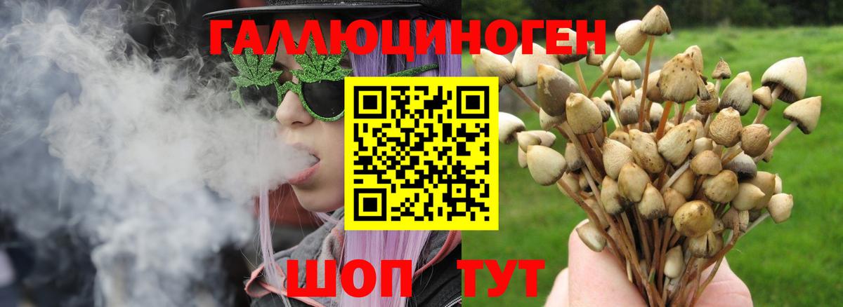 Псилоцибиновые грибы ЛСД  Псилоцибиновые грибы Cubensis  Ногинск  Вход с VPN 